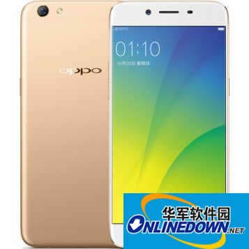 64GֻOPPO R9s Plus