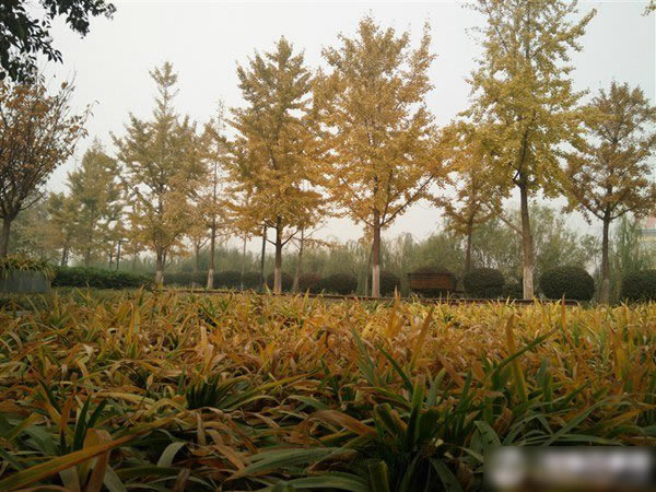 OPPO N3��ô����OPPO N3��ϸ����ͼ��_�ֻ�����_�ֻ�ѧԺ_��վ