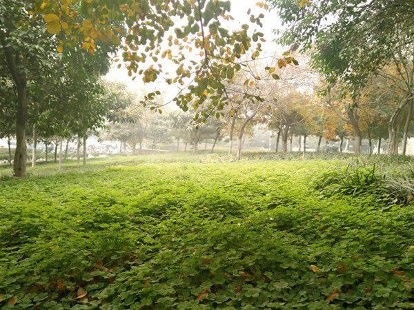 OPPO N3��ô����OPPO N3��ϸ����ͼ��_�ֻ�����_�ֻ�ѧԺ_��վ