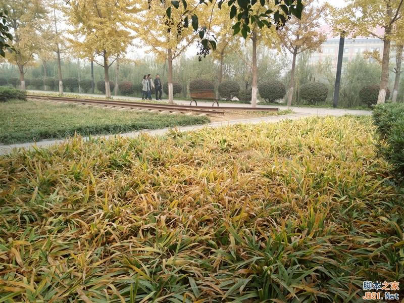 5V/5A������ٶ����죡OPPO N3ȫ������