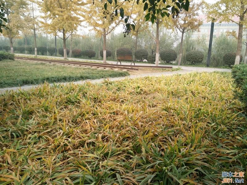 5V/5A������ٶ����죡OPPO N3ȫ������