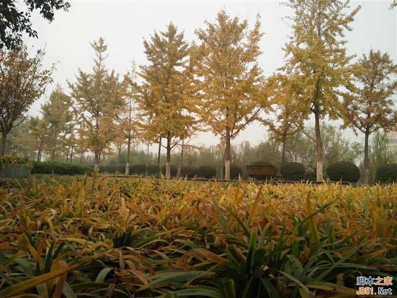 5V/5A������ٶ����죡OPPO N3ȫ������