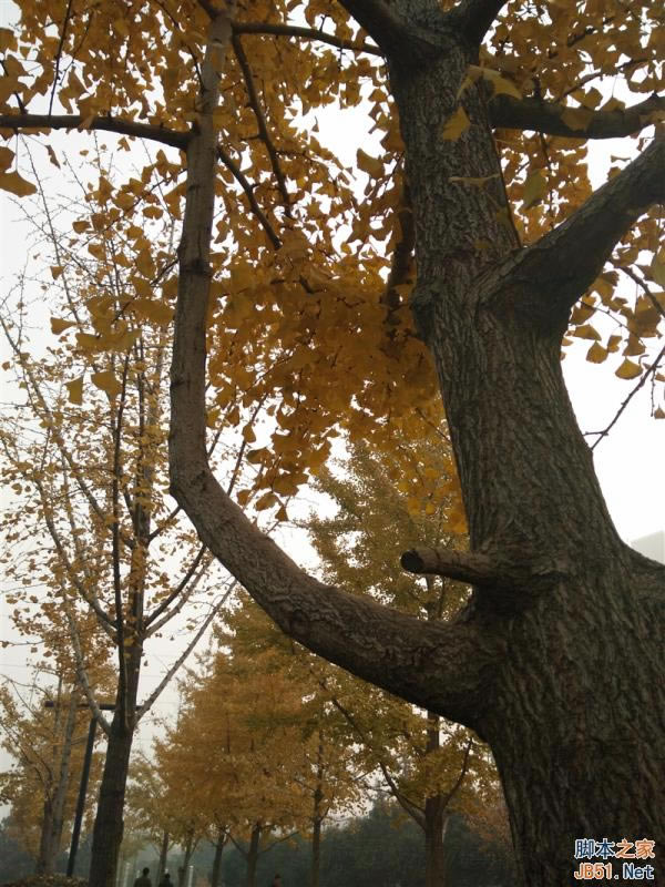 5V/5A������ٶ����죡OPPO N3ȫ������