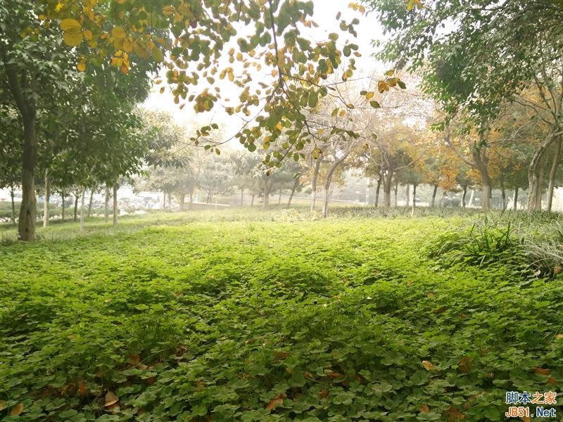 5V/5A������ٶ����죡OPPO N3ȫ������