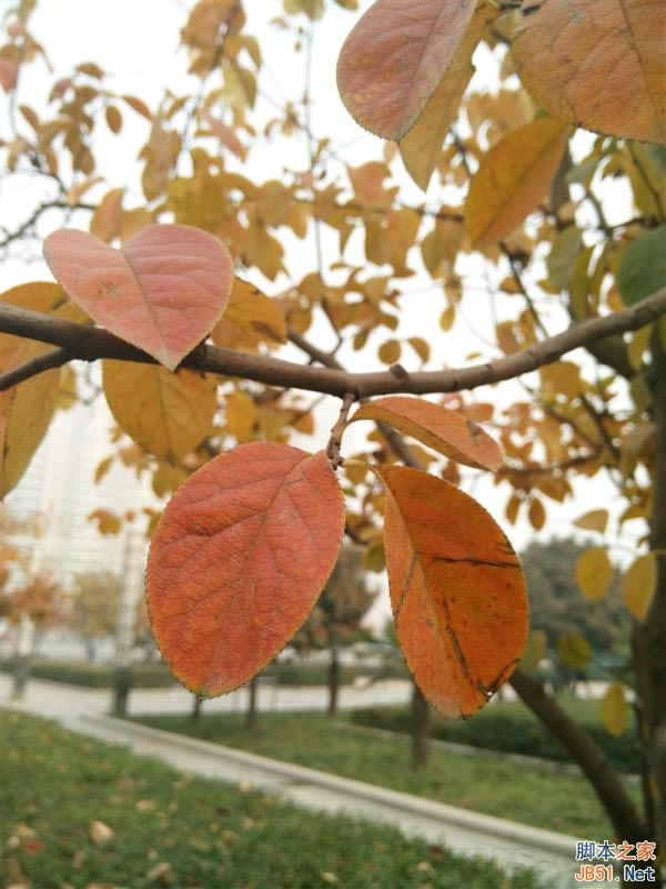 5V/5A������ٶ����죡OPPO N3ȫ������