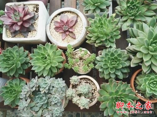 ��OPPO N3ȥ��¼���йػ�����Ů����� 