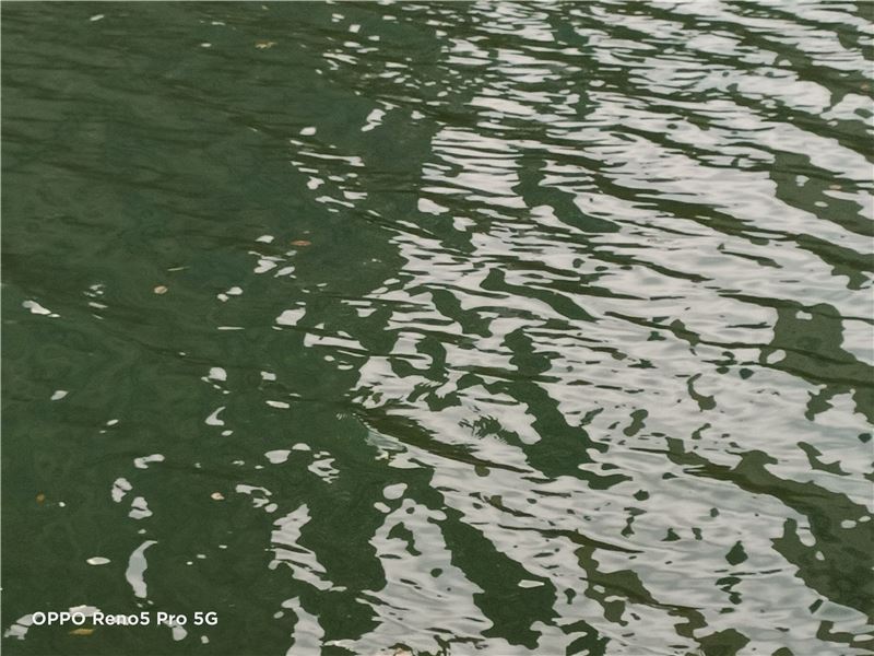 OPPO Reno5 Pro值得入手吗 OPPO Reno5 Pro手机全方位评测_手机评测_手机学院_本站