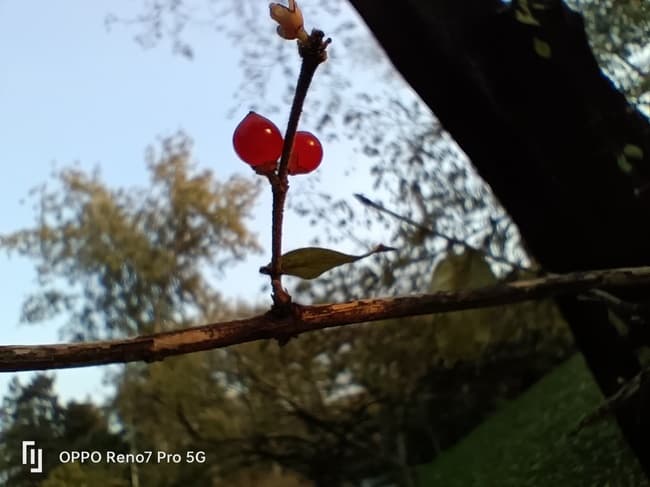 OPPO Reno7 Pro值得入手吗 OPPO Reno7 Pro详细评测_手机评测_手机学院_本站