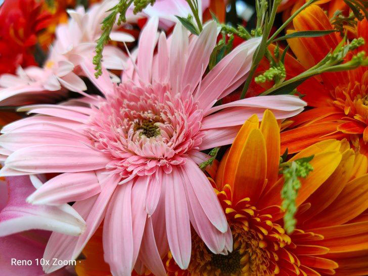 OPPO Reno 10倍变焦版相机拍照评测_手机评测_手机学院_本站