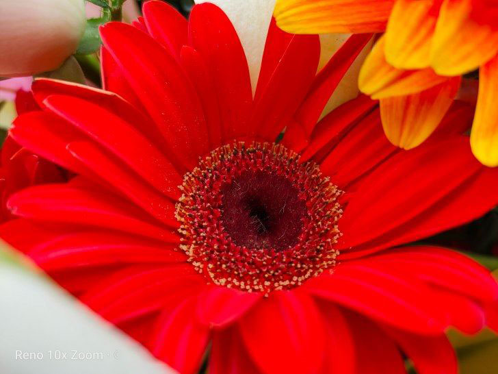 OPPO Reno 10倍变焦版相机拍照评测_手机评测_手机学院_本站