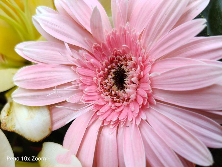 OPPO Reno 10倍变焦版相机拍照评测_手机评测_手机学院_本站