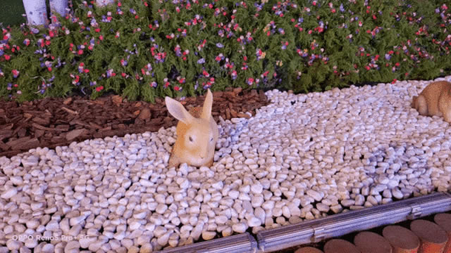 年底的骁龙865还值得买吗?OPPO Reno5 Pro+全面评测