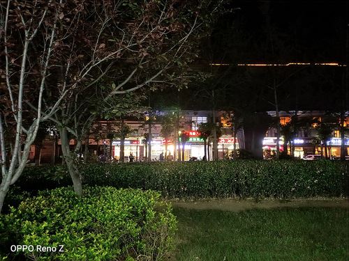 OPPO Reno Z�ֻ���ô�� OPPO Reno Z�������鼰����ͼ��_�ֻ�����_�ֻ�ѧԺ_��վ