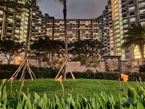 OPPO Reno Z�ֻ���ô�� OPPO Reno Z�������鼰����ͼ��_�ֻ�����_�ֻ�ѧԺ_��վ