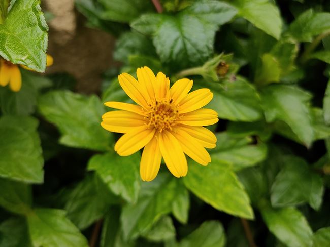 OPPO Reno3 Pro值得买吗 OPPO Reno3 Pro手机全面评测_手机评测_手机学院_本站