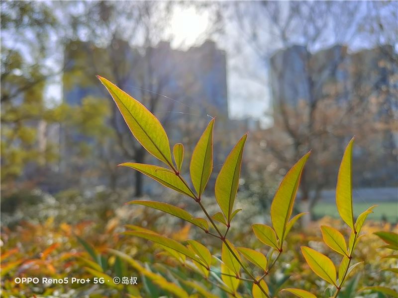 OPPO Reno5 Pro+值得入手吗 OPPO Reno5 Pro+手机全方位评测_手机评测_手机学院_本站