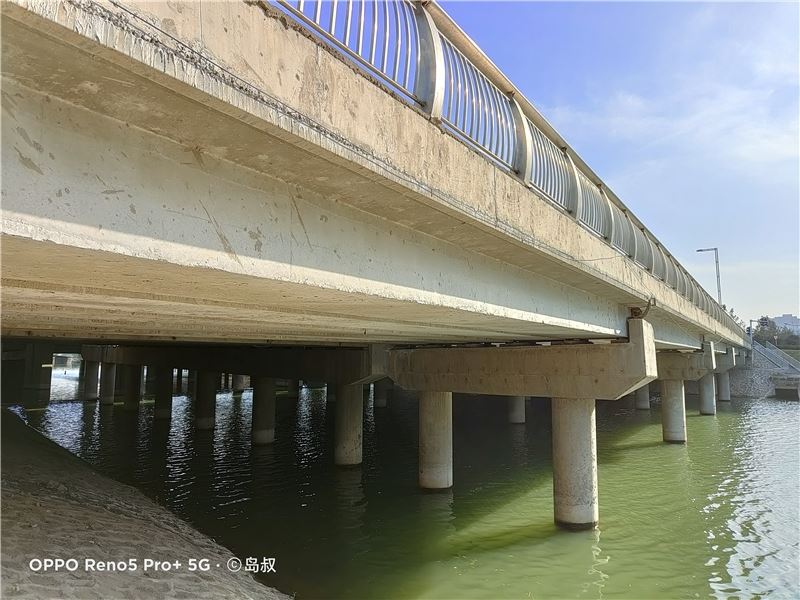 OPPO Reno5 Pro+值得入手吗 OPPO Reno5 Pro+手机全方位评测_手机评测_手机学院_本站