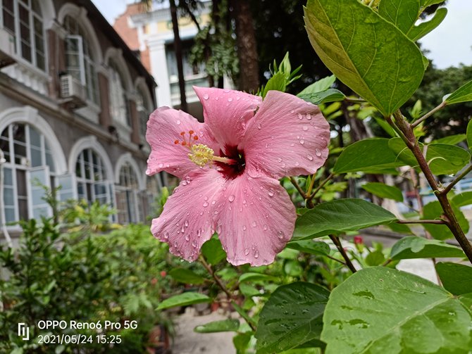 OPPO Reno6 Pro体验如何 OPPO Reno6 Pro详细评测_手机评测_本站