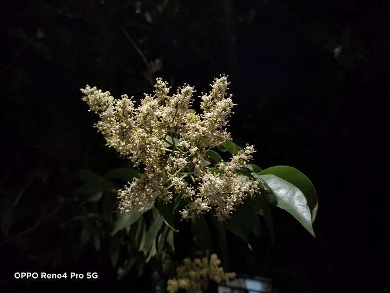 OPPO Reno4 Pro值得入手吗 OPPO Reno4 Pro手机详细评测_手机评测_手机学院_本站