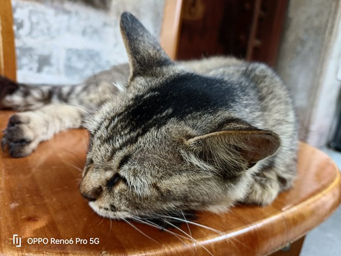 OPPO Reno6 Pro������� OPPO Reno6 Pro��ϸ����_�ֻ�����_�ֻ�ѧԺ_��վ