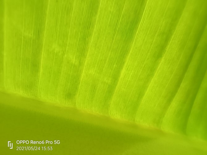 OPPO Reno6 Pro������� OPPO Reno6 Pro��ϸ����_�ֻ�����_�ֻ�ѧԺ_��վ