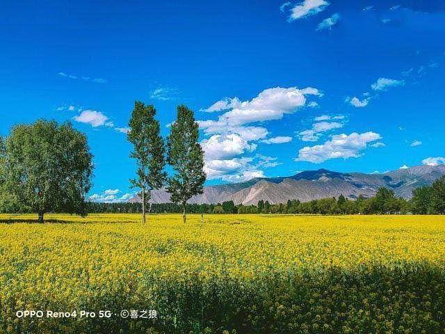 OPPOReno4Pro��С��10�ĸ���?OPPOReno4Pro�Ա�С��10����_�ֻ�����_�ֻ�ѧԺ_��վ