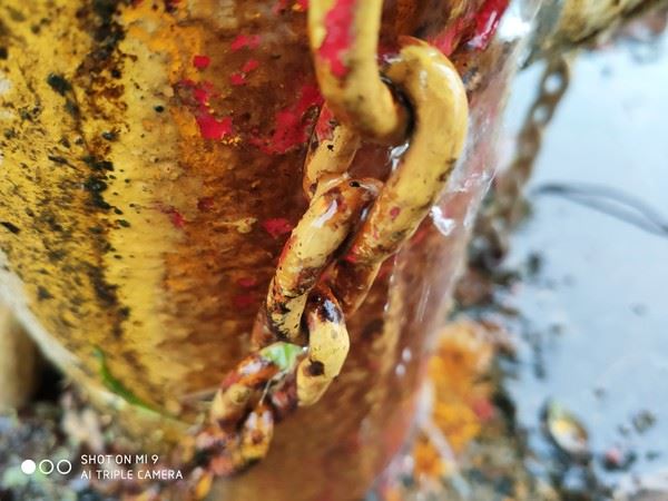 OPPO Reno����ҫV20��С��9�ֻ�����Ч���Ա�����_�ֻ�����_�ֻ�ѧԺ_��վ