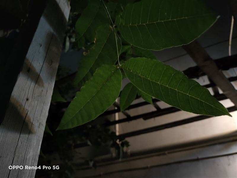 OPPO Reno4 Proֵ�������� OPPO Reno4 Pro�ֻ���ϸ����_�ֻ�����_�ֻ�ѧԺ_��վ