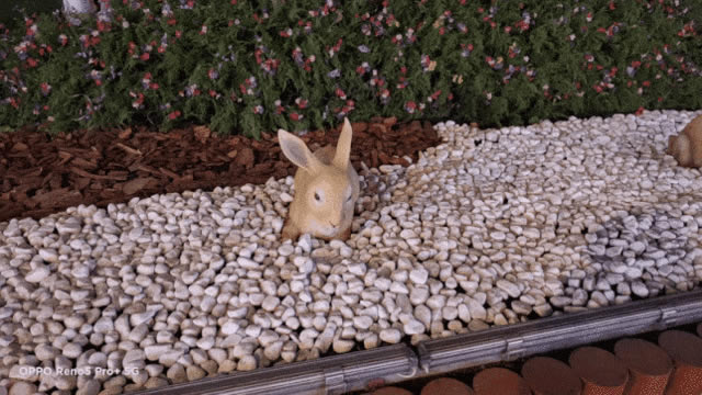 ��׵�����865��ֵ������OPPO Reno5 Pro+ȫ������