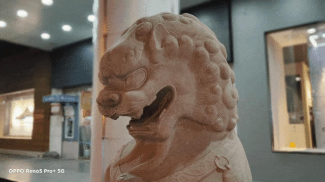 ��׵�����865��ֵ������OPPO Reno5 Pro+ȫ������