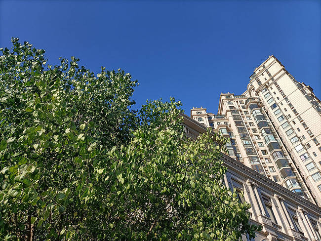 OPPO Reno4 SE������� OPPO Reno4 SEȫ������_�ֻ�����_�ֻ�ѧԺ_��վ