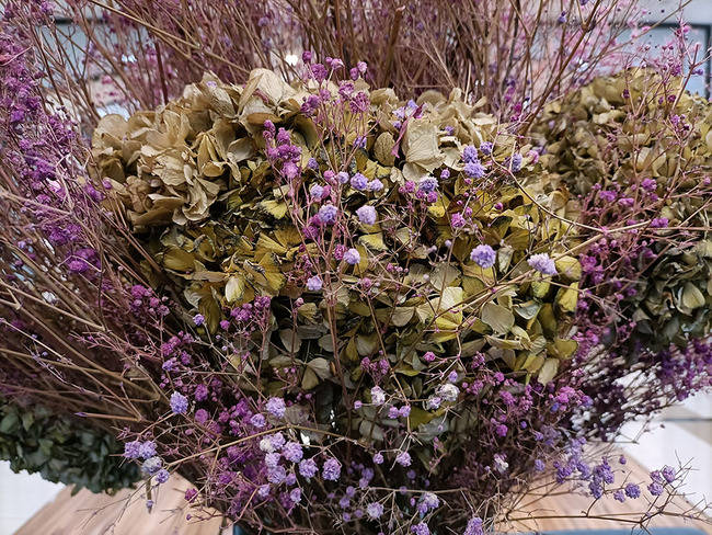 OPPO Reno4 SE������� OPPO Reno4 SEȫ������_�ֻ�����_�ֻ�ѧԺ_��վ