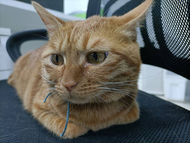 OPPO Reno4 SE������� OPPO Reno4 SEȫ������_�ֻ�����_�ֻ�ѧԺ_��վ