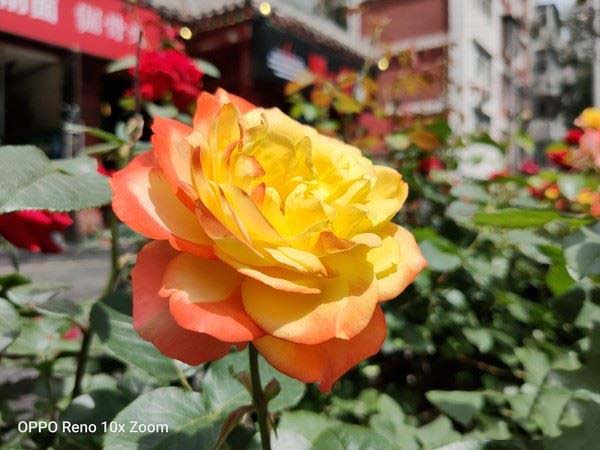 OPPO Reno10���佹����ô�� Reno�ֻ���ۡ����á��ܷ֡�ϵͳ������ȫ������_�ֻ�����_�ֻ�ѧԺ_��վ