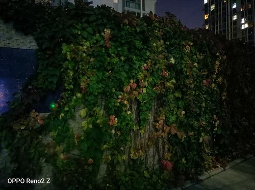 OPPO Reno2 Zֵ�������� OPPO Reno2 Z�ֻ�ȫ������_�ֻ�����_��վ