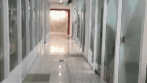 OPPO Reno2 Zֵ�������� OPPO Reno2 Z�ֻ�ȫ������_�ֻ�����_��վ