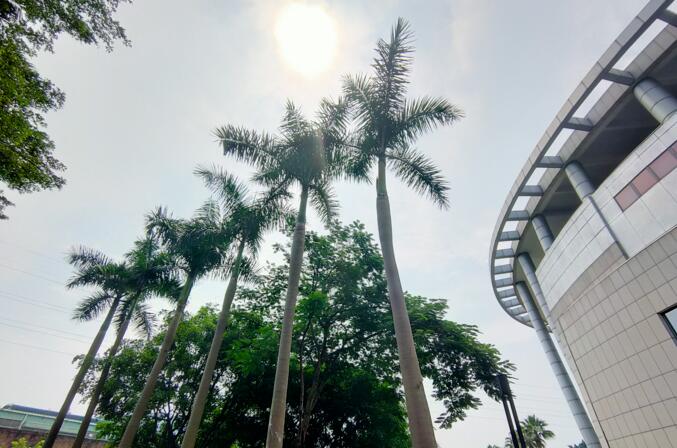 OPPO Reno2��ô�� OPPO Reno2���/����/��Ϸ����/ϵͳ�����ȫ������_�ֻ�����_�ֻ�ѧԺ_��վ