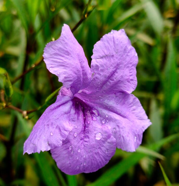 OPPO Reno2��ô�� OPPO Reno2���/����/��Ϸ����/ϵͳ�����ȫ������_�ֻ�����_�ֻ�ѧԺ_��վ