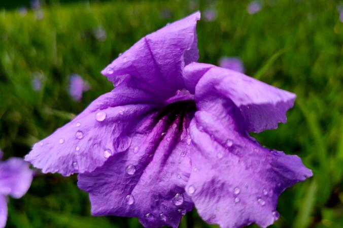 OPPO Reno2��ô�� OPPO Reno2���/����/��Ϸ����/ϵͳ�����ȫ������_�ֻ�����_�ֻ�ѧԺ_��վ