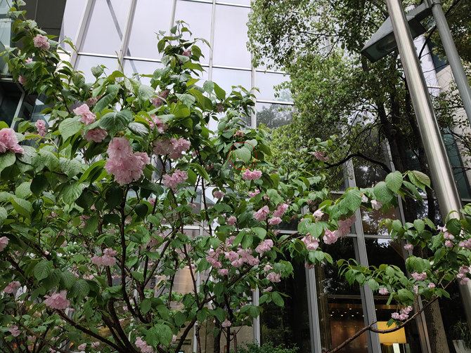 OPPO Reno�ֻ���ۡ����ա�ϵͳ�����ܡ��ּܷ�����ȫ������_�ֻ�����_�ֻ�ѧԺ_��վ