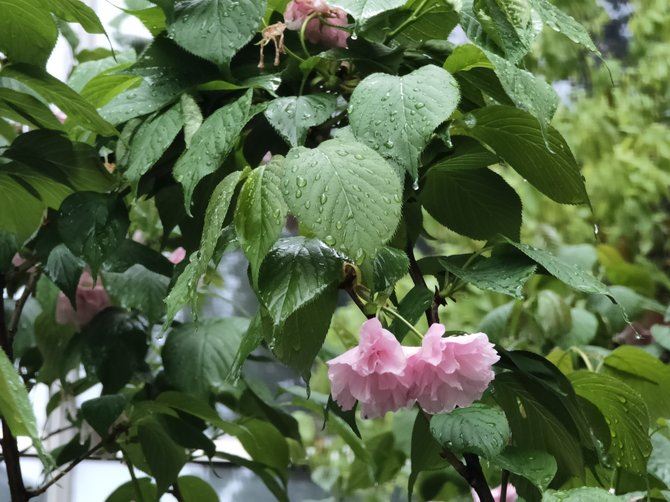 OPPO Reno�ֻ���ۡ����ա�ϵͳ�����ܡ��ּܷ�����ȫ������_�ֻ�����_�ֻ�ѧԺ_��վ