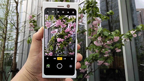 OPPO Reno�ֻ���ۡ����ա�ϵͳ�����ܡ��ּܷ�����ȫ������_�ֻ�����_�ֻ�ѧԺ_��վ