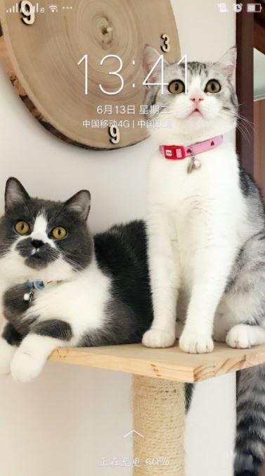 oppo reno��θ�����ֽ?_��׿�ֻ�_�ֻ�ѧԺ_��վ