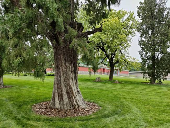 OPPOReno4Pro���չ������ OPPOReno4Pro������������_�ֻ�����_�ֻ�ѧԺ_��վ