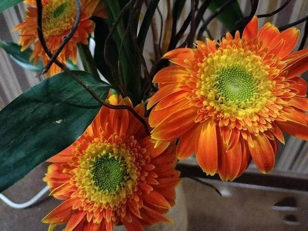 oppoa93和reno4se哪款好 oppoa93和reno4se区别对比_手机评测_手机学院_本站