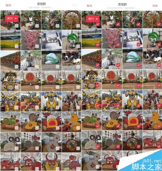 oppo reno z���������Ƭ��oppo reno z�������̳�