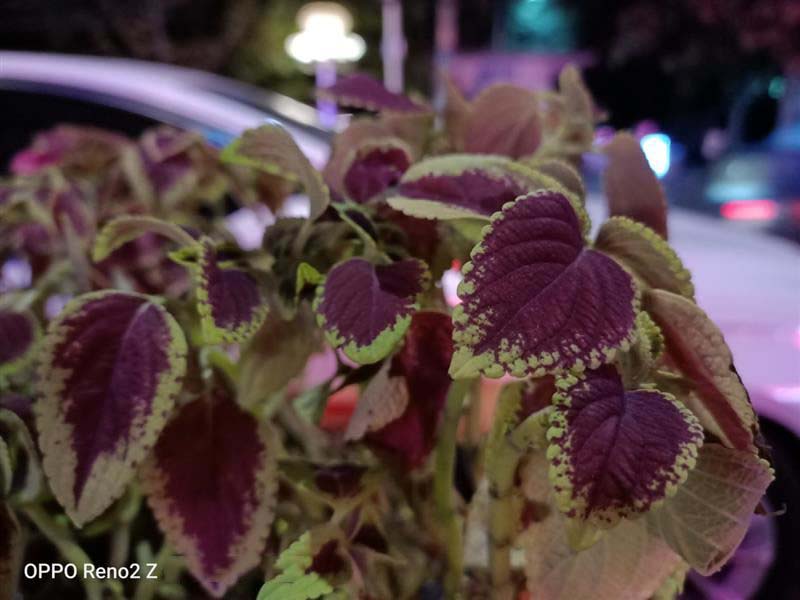 OPPO Reno2 Z��ô�� OPPO Reno2 Z�ֻ�ʹ����������_�ֻ�����_�ֻ�ѧԺ_��վ