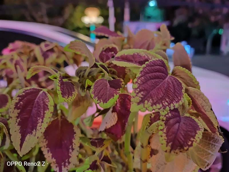 OPPO Reno2 Z��ô�� OPPO Reno2 Z�ֻ�ʹ����������_�ֻ�����_�ֻ�ѧԺ_��վ