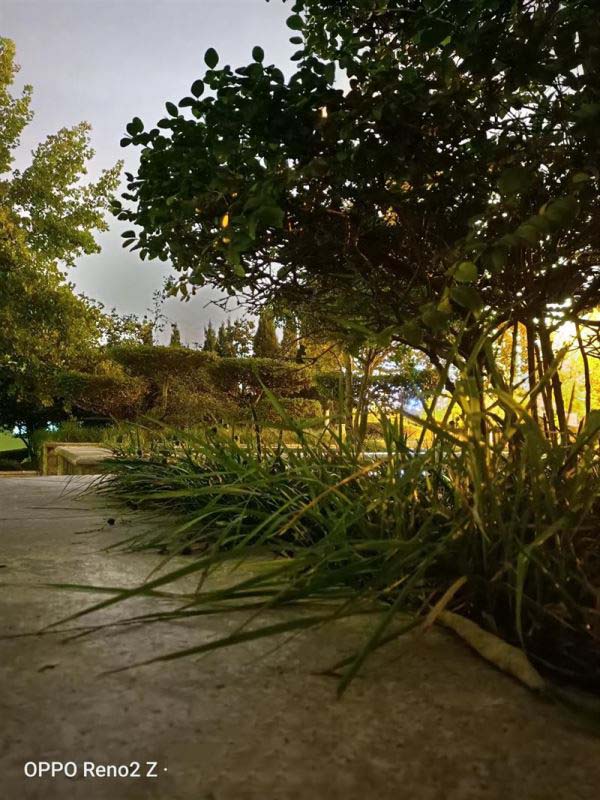 OPPO Reno2 Z��ô�� OPPO Reno2 Z�ֻ�ʹ����������_�ֻ�����_�ֻ�ѧԺ_��վ