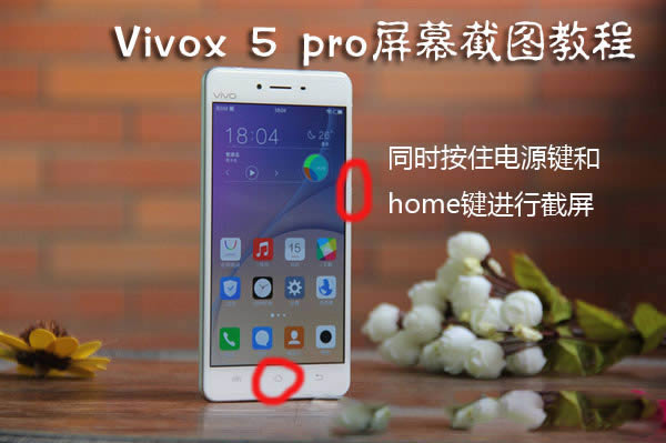 Vivox5proô